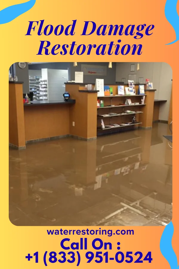 Flood Damage Restoration in Gilman, IL