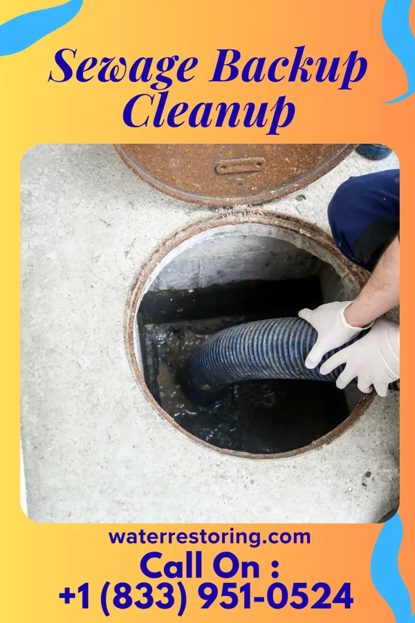 Sewage Backup Cleanup in Gilman, IL